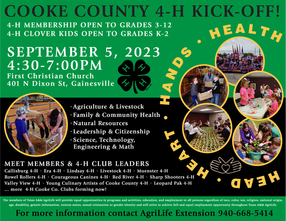 GainesvilleCofC's tweet image. Cooke County 4-H - Texas A&amp;amp;M Agrilife Extension is kicking off next Tuesday with tons of great information for your family to learn about if you have a kiddo in grades K-12! 🍀 Come find out what this organization has to offer for your community!
#learnmore #opentoeveryone