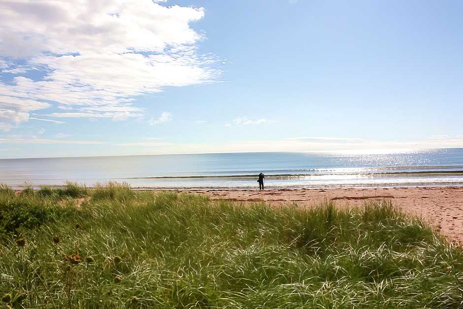 T_W_O's tweet photo. Outdoor Abenteuer in Kanada! Lust auf Wildnis und Abenteuer? Wir haben die besten Tipps für Outdoor-Aktivitäten in Kanada - sogar an den Stränden des Landes: https://t.co/2PUKc4SBo5
#ExploreCanada #CanadaTravel #DiscoverCanada #ImagesOfCanada #InsideCanada #Entdeckekanada https://t.co/EoF5GyoFNf