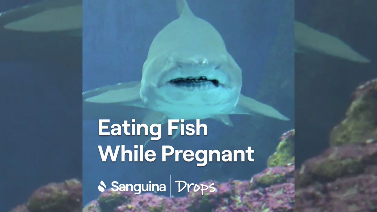 Tune into our latest #SanguinaDrops to find out which types of fish are pregnancy-safe, how to prepare them properly, and why it's important to watch your mercury levels. 🐟 bit.ly/47zbRME 

#prenataldiet #pregnancynutrition #healthyeating