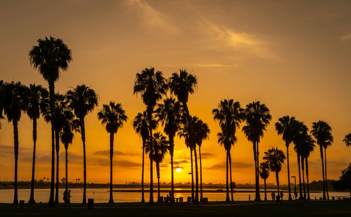 Now ✨this✨ is how you kick off pumpkin spice season 😌 

📸: Soly Moses
#SDlifechanging