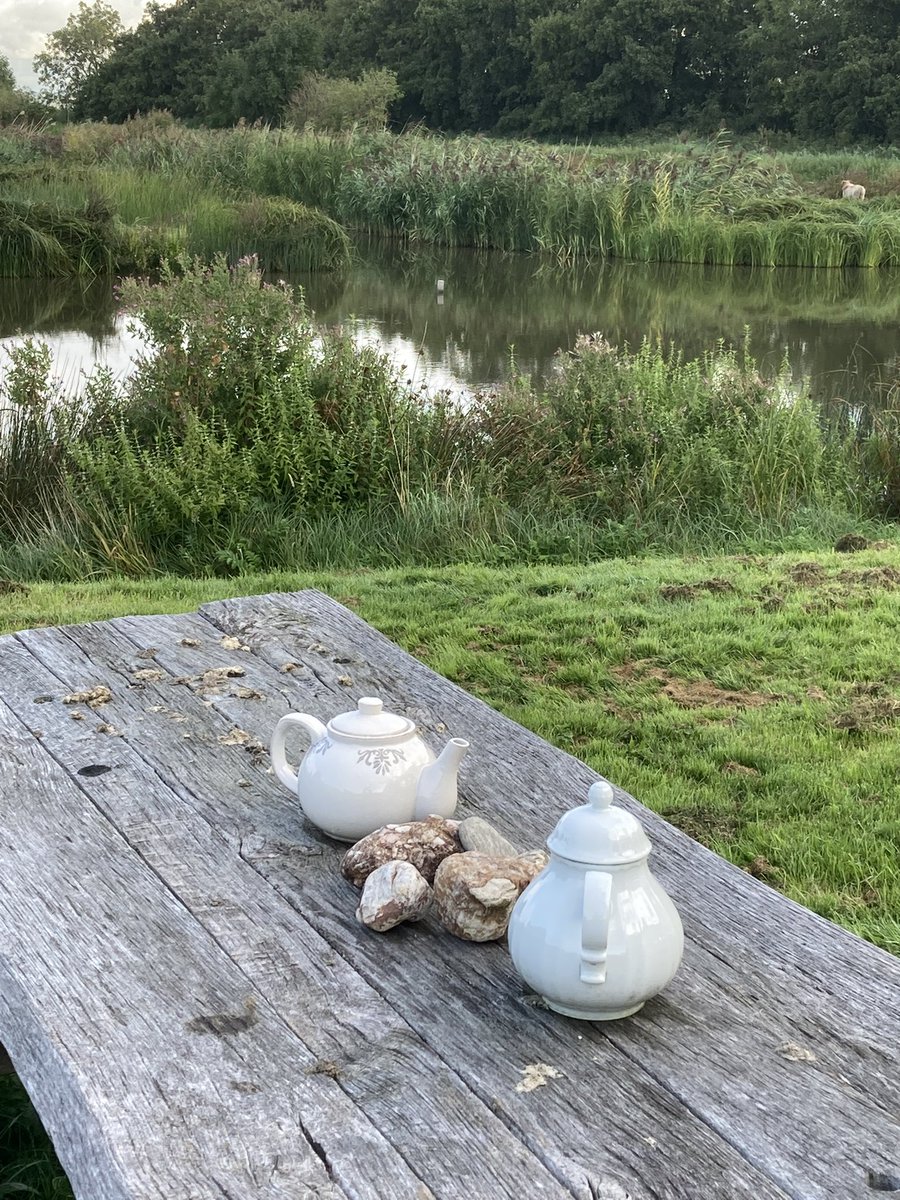 Dit kan ook natuurlijk! Gewoon een stilleven op de picknickbank bij de Zeven Gaten. #regiokuststreek <a href="/ZHLandschap/">Zuid-Hollands Landschap</a> <a href="/Bezoek_westland/">Bezoek Westland</a>