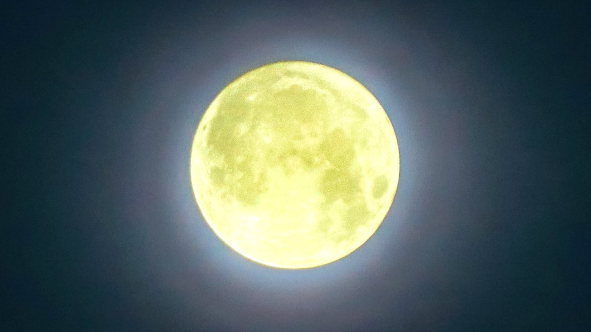 hiy_twinkle's tweet photo. 8月最後の長い夜は 柔らかな夜

薄雲越しの満月は
スーパームーンで ブルームーンで…
今日も今日とて驚くほどに美しい。

すごいな、お月さま。 https://t.co/xfSsRCBWMj