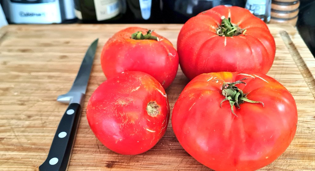 CantineVoyageur's tweet photo. Super tomates bio du jardin de Papy farcies avec viande hachée, ail, origan, persil et menthe 🍅 #homemade #StuffedTomatoes https://t.co/THYC4Pffl4