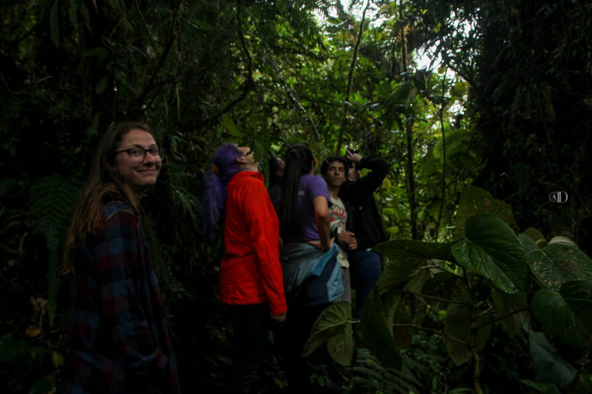 mar moretta-urdiales tweet media