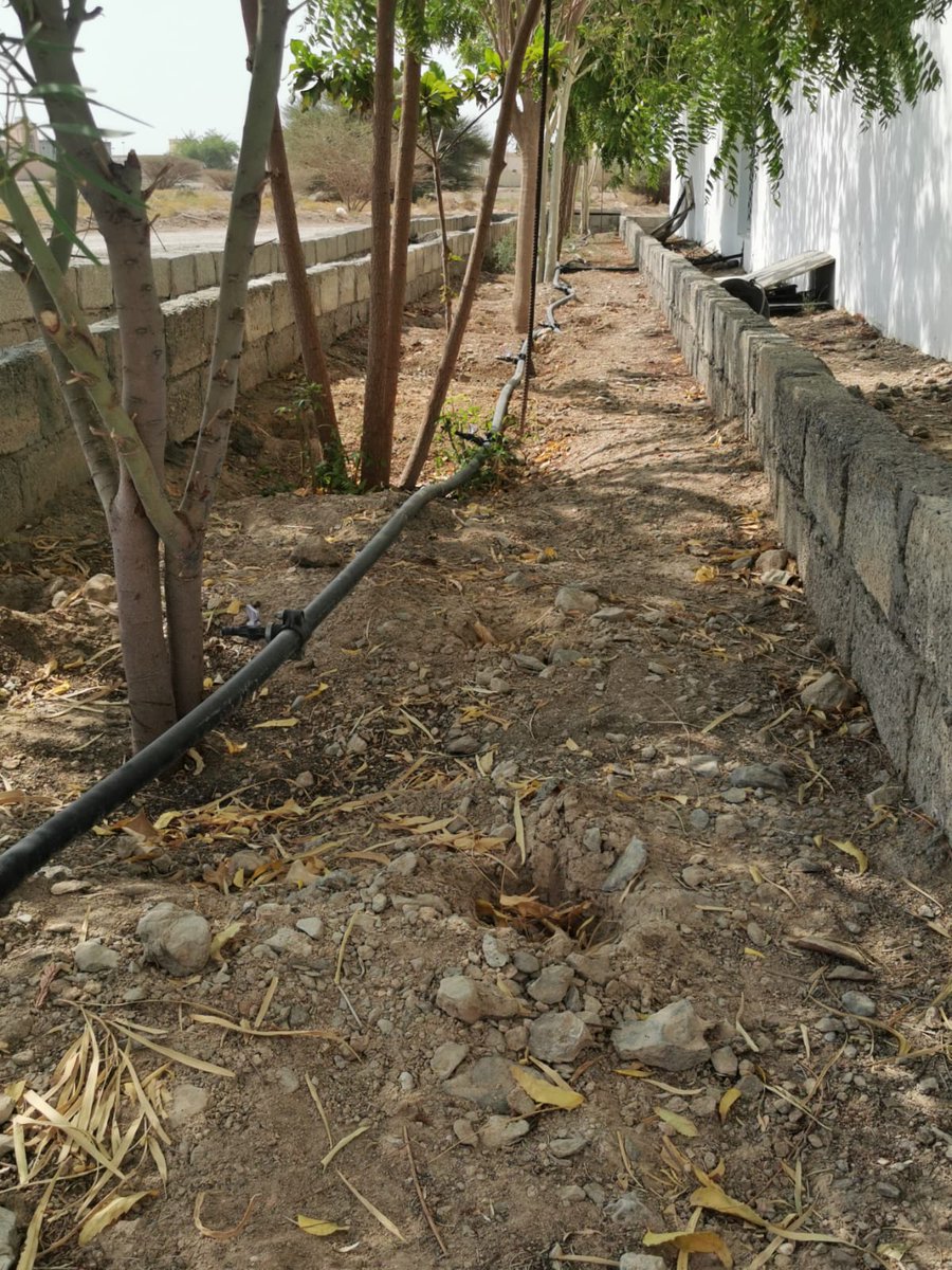 safi_s1234's tweet photo. مشاركة : قمت بفصل مياه المغاسل في خزان صرف صحي منفصل عن مياه دورات المياه والمطبخ وذلك لتجميع المياه النظيفة الصالحة لسقي المزروعات بعد ذلك قمت بتركيب مضخة مياه داخلية(غطاس)وعمل توصيلة مباشرة لأشجار الظل والزينة والتي ايضا عبارة عن مصدات هوائية، بحيث يتم سقيها جميعا في وقت واحد. https://t.co/Zoap1D2oNO