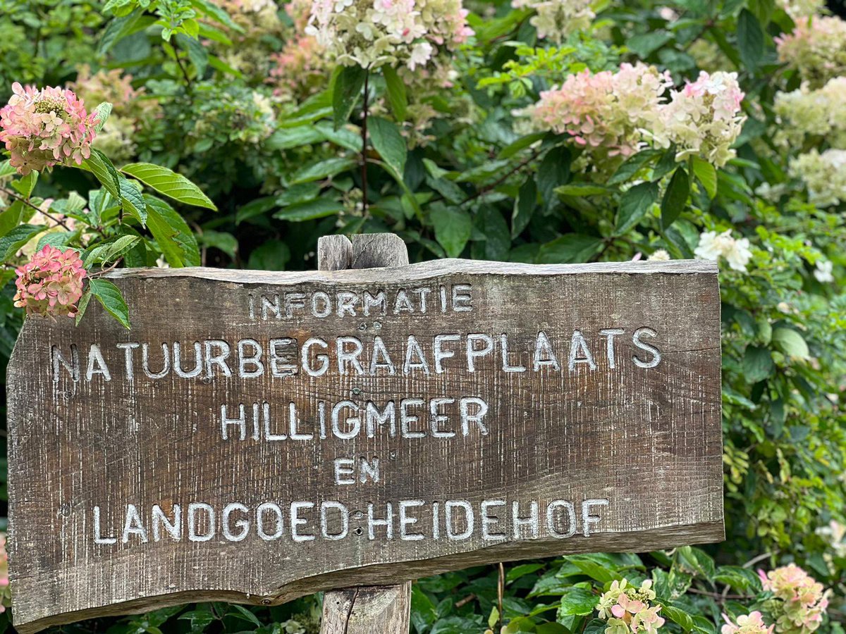 wensambulancenn's tweet photo. Vanuit UMCG Groningen, gingen we met mevrouw(61) naar Natuurbegraafplaats Hillig Meer #Eext. Na een noodlottig ongeval in Frankrijk, belandde mevrouw in het ziekenhuis aldaar en werd later overgeplaatst naar het #UMCG. Haar echtgenoot, kwam bij het ongeval om het leven. https://t.co/uIC5JkKZPH