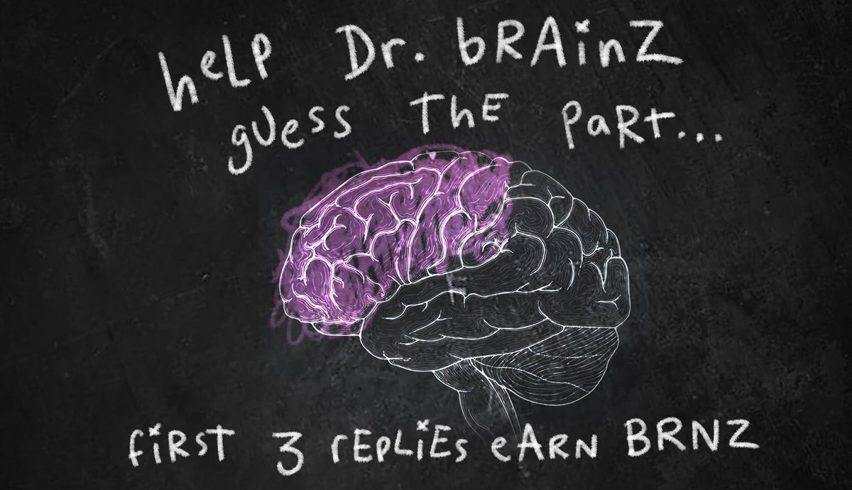 bRAinZbRidGe 🎓 tweet media