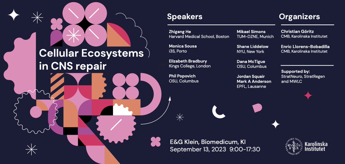 Ellorebo's tweet photo. Thrilled to be hosting the "Cellular Ecosystems in CNS Repair" symposium with @ChristianGoritz on September 13th, 2023  @karolinskainst @StratNeuro  https://t.co/3xFJ96Dxth                     Register here for free: https://t.co/6yHYS9K6yh https://t.co/OXXIozKMFY