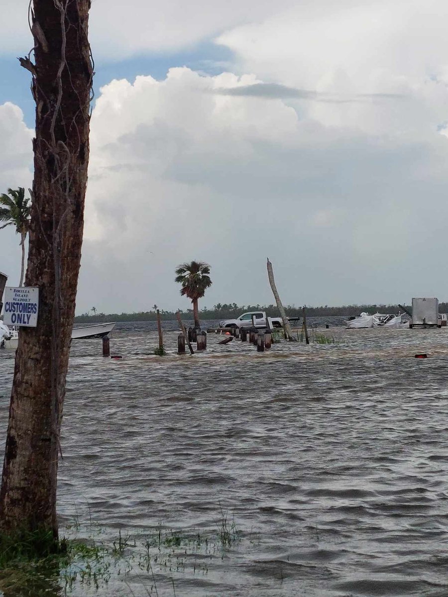 BethanieBoots's tweet photo. @MattDevittWINK @winknews this is Bokeelia by Capt cons fish house at 12pm. The back bay and front bay are connected over the land. Its about shin to knee deep. https://t.co/lb3ACeHD3m