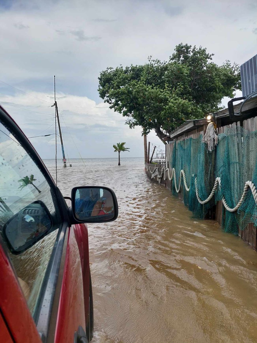 BethanieBoots's tweet photo. @MattDevittWINK @winknews this is Bokeelia by Capt cons fish house at 12pm. The back bay and front bay are connected over the land. Its about shin to knee deep. https://t.co/lb3ACeHD3m