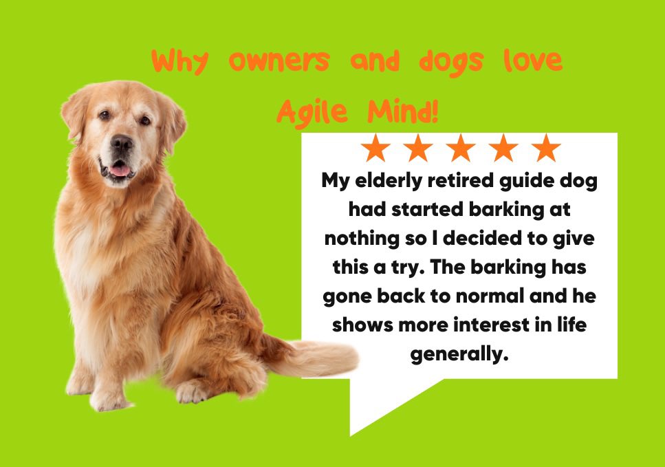 ExxPet's tweet photo. Another 5 ⭐️ review on Amazon! 
We love helping dogs and dog parents 🐶

Find out how to help your senior dog here 👇

https://t.co/oItLis6ob0 https://t.co/852x9vGXB4