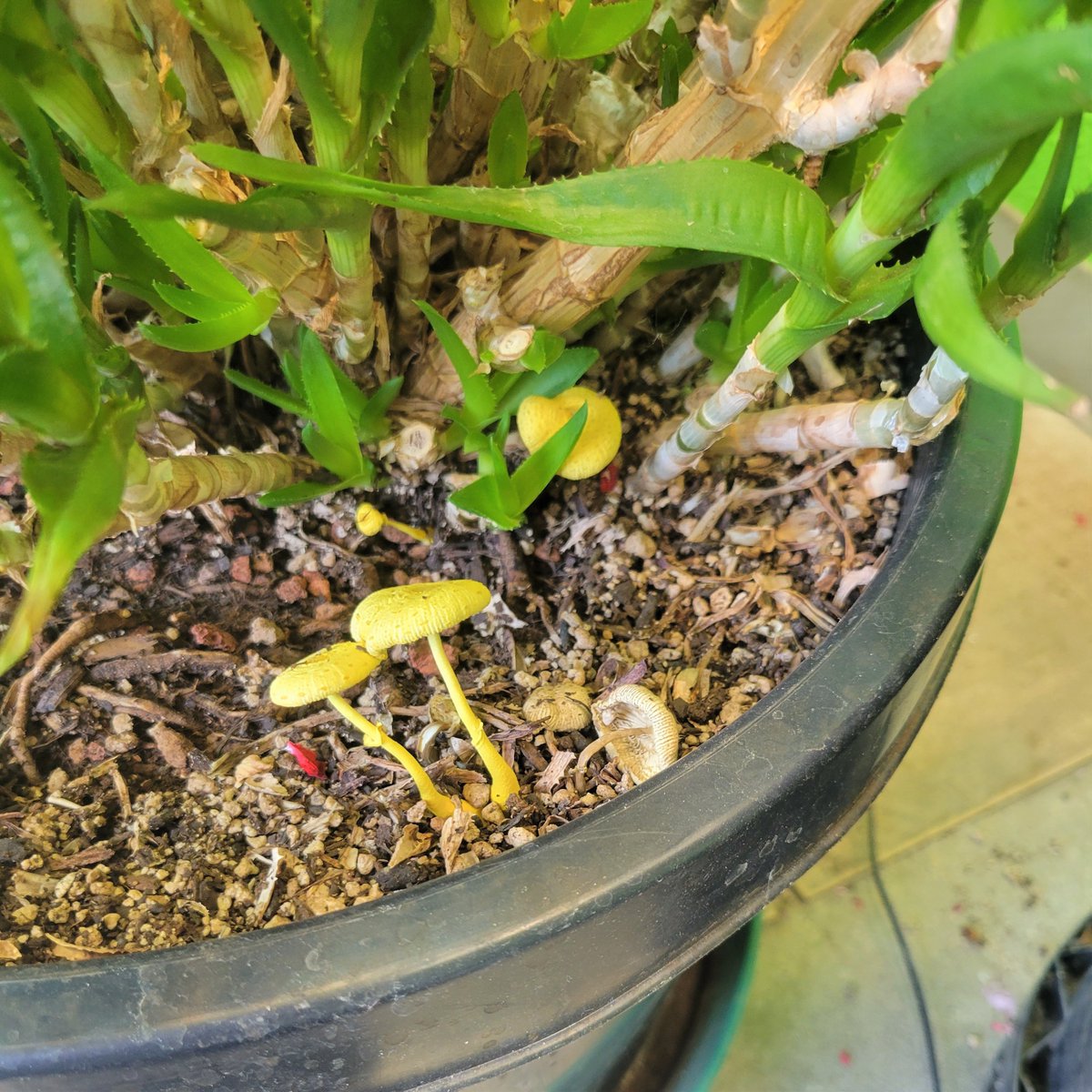 HTGSupply tweet media