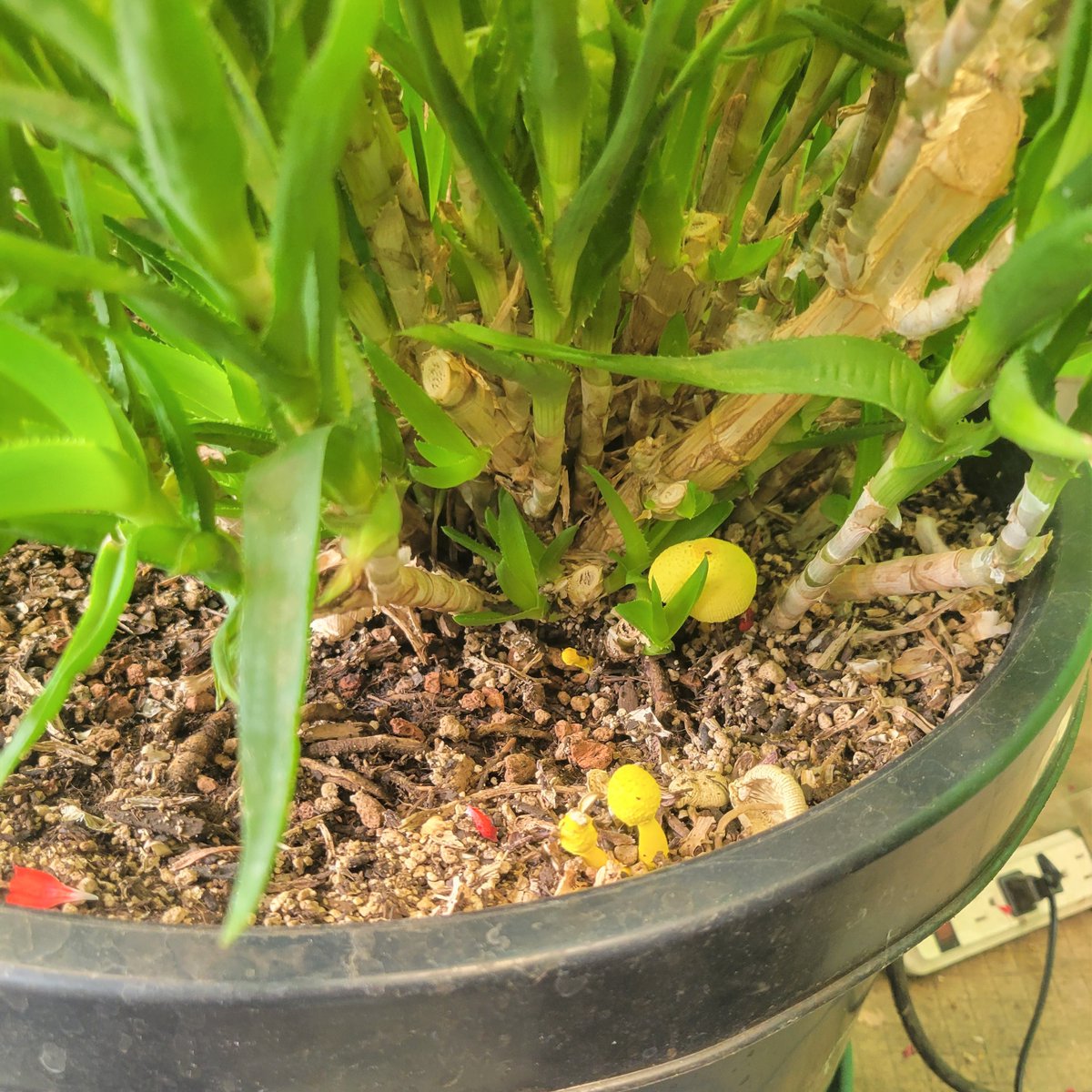 HTGSupply tweet media