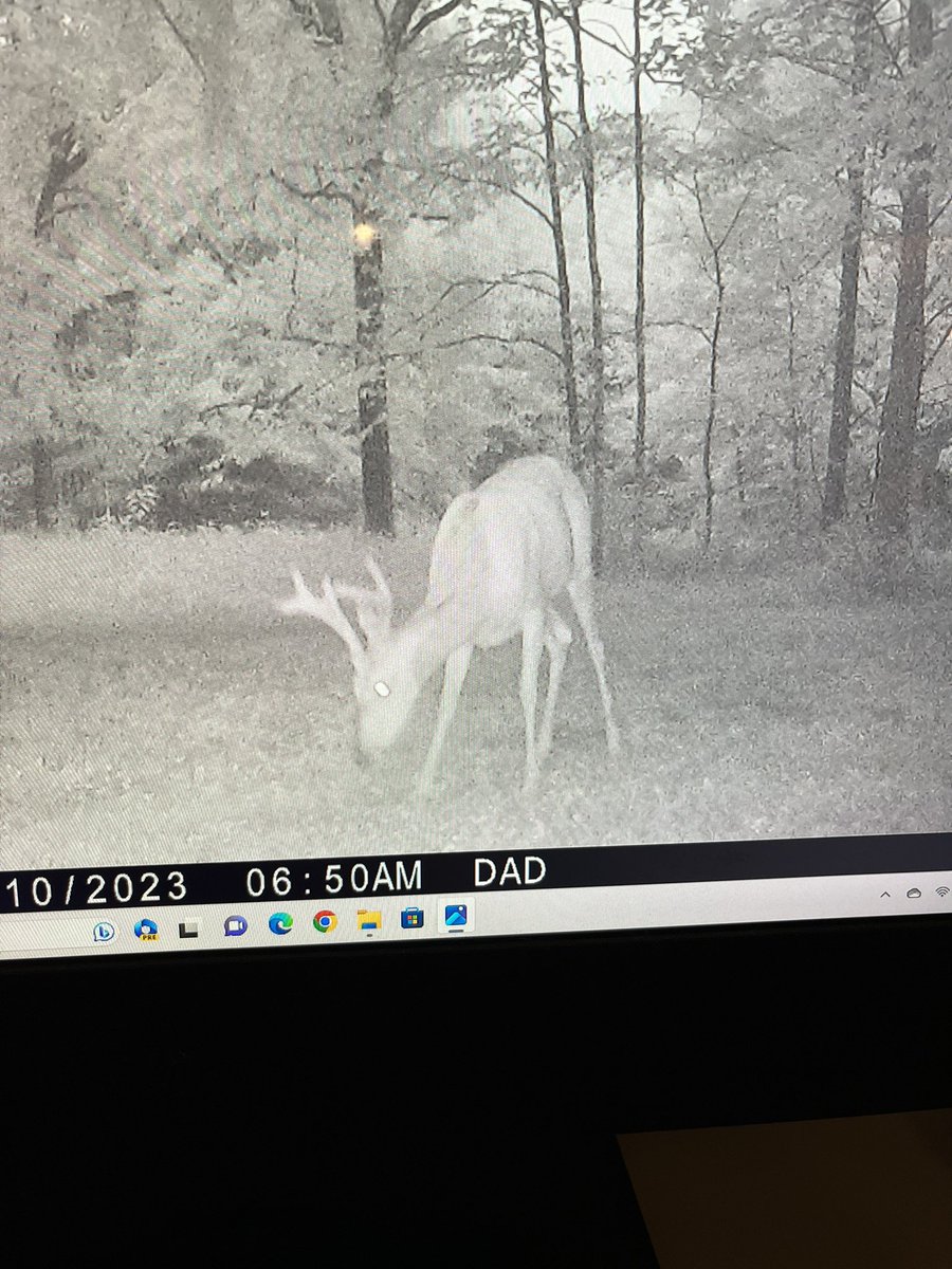 Mr_Buchanan19's tweet photo. @SpypointCamera Let me tell ya! https://t.co/luHWxmwcL2