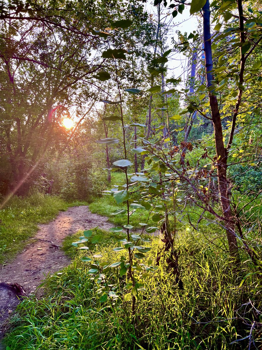 drdagly's tweet photo. Catching the light. https://t.co/UQcaSYXKzQ