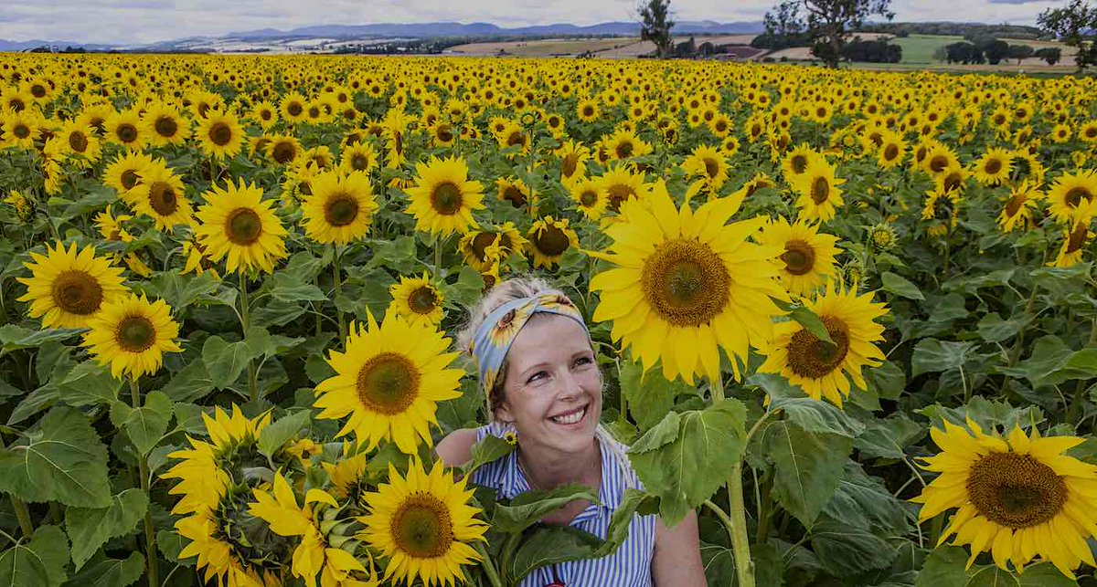 Need to smile? Take a little break and check out a field of over 250,000 sunflowers grown into a maze in Scotland. Sunflowers always make me smile. 🌻😄 loom.ly/0MxAYwc 

#sunflowerfield #smile