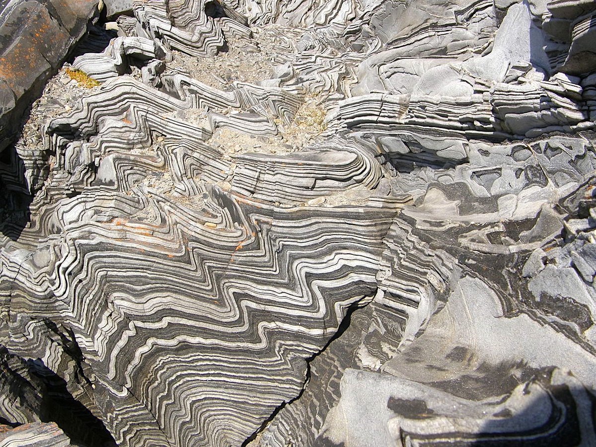 GeologyTime's tweet photo. This incredible photo shows the power of nature in action! Folded and metamorphosed Cambrian sediments on Kangaroo Island, South Australia

Photo: Geomartin https://t.co/HxqrQVYuKA