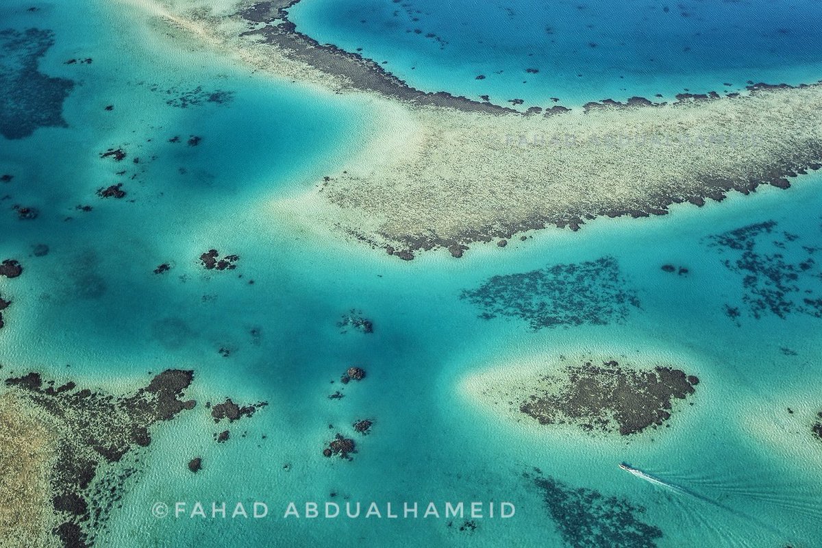 📸المياه الفيروزية في ينبع.