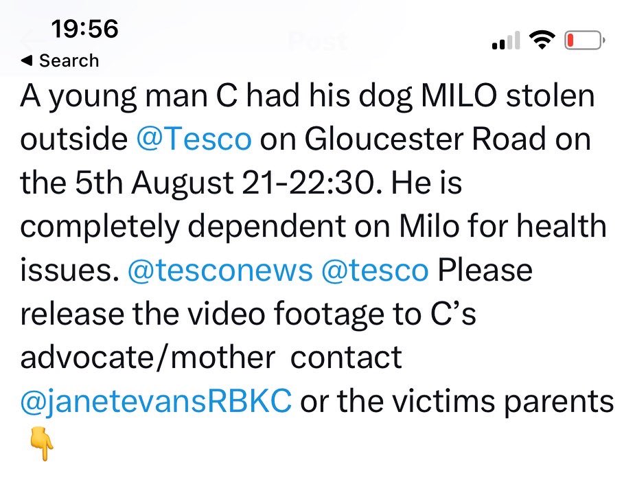 janetevansRBKC's tweet photo. We have had 2 sightings of Milo! The manager @TescoExpress SW7 and @metpoliceuk Courtfield Ward are helping This is our second petnapping #StealingPetsRuinsLives #BringMiloHome DM me or 👇 https://t.co/FrezNMLNun