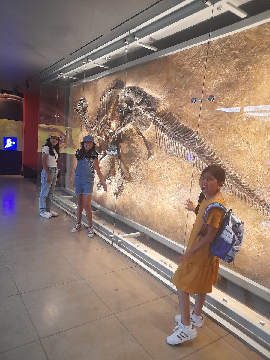 isaigalo's tweet photo. 🦖 https://t.co/BR4wb4r3ry