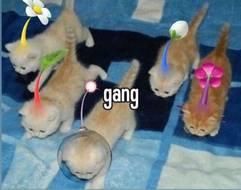 GamerNook Weekly is tonight, hope to see y'all there 🫠

Looking like a round robin or even a fest lol, Ultimate singles starts at 6:30

start.gg/gnw