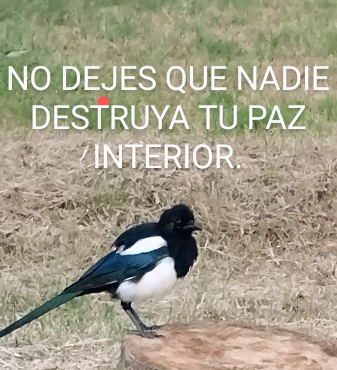 VidaEquilibrada (@vidaequilibrad4) on Twitter photo 