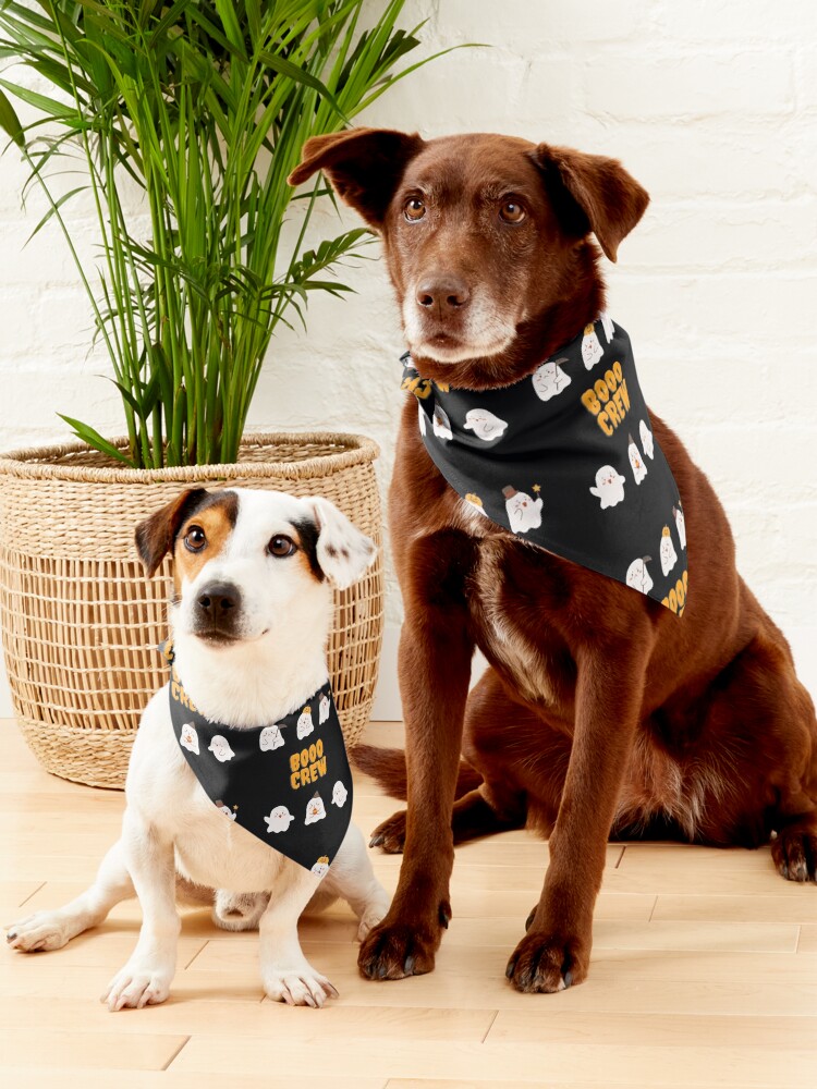 Get my art printed on awesome products. Support me at Redbubble #RBandME:  redbubble.com/i/pet-bandana/… 
#PetBandana #Bandana #Pets #Halloween #halloween2023 #Halloweencostume #halloweencostumeforpets #dog #cat