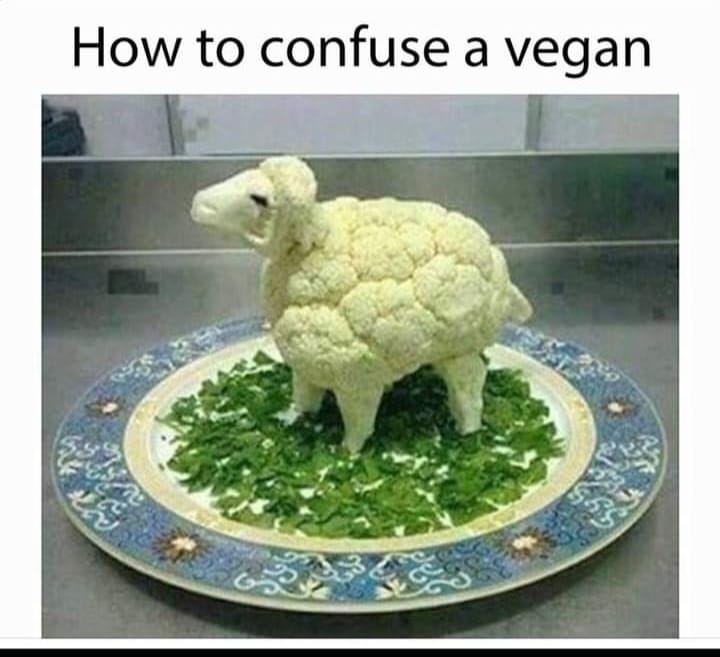 ALPacaUrfudge's tweet photo. Me trying to cook vegan is a #RecipesForDisasters https://t.co/aV013CGy2T