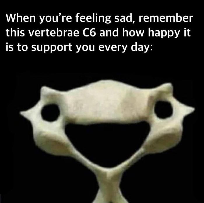 Neurosurgery Cocktail (@bipinchaurasia_) on Twitter photo 