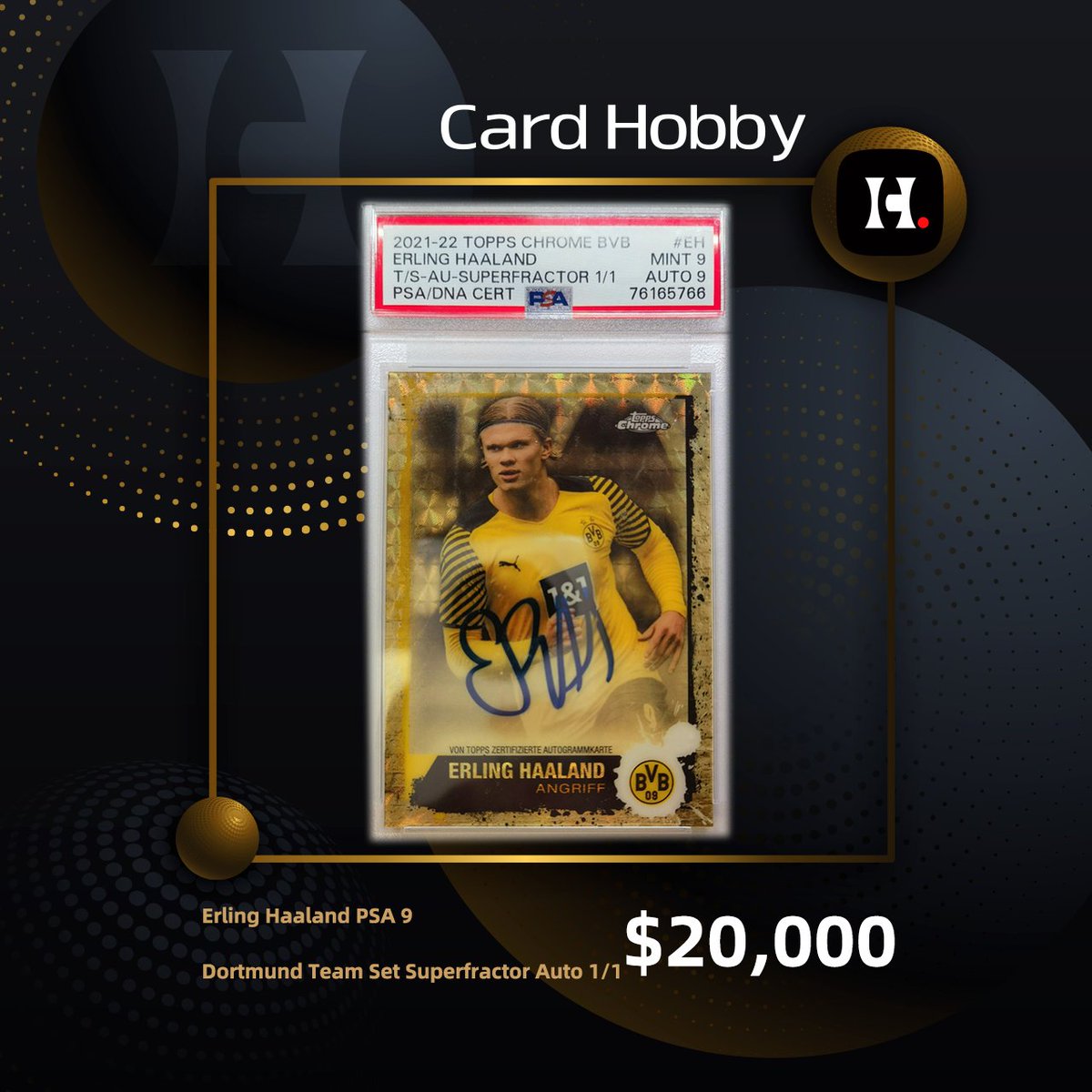 Card Hobby tweet media