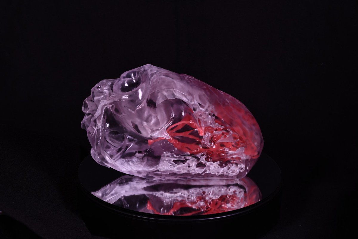 Discover the next level of cardiac training with 14 individual 3D heart models that offer an unsurpassed visual &amp; tactile understanding of the heart's complexities. On sale for a limited time! bit.ly/ct3dmodels