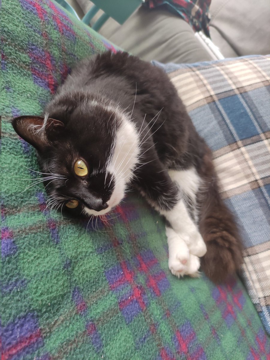 ☀️ Dr Dayman (ah-ah-ah) ☀️ tweet media