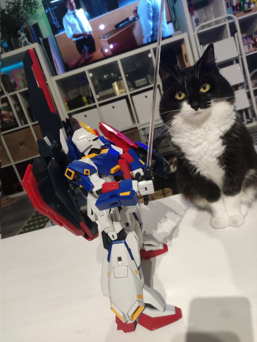 ☀️ Dr Dayman (ah-ah-ah) ☀️ tweet media