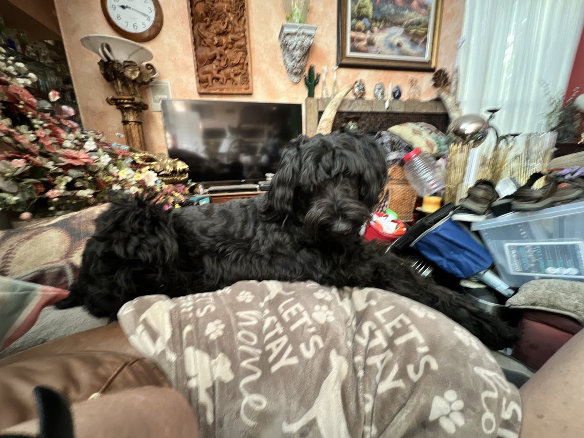 Me and my dog Gracie