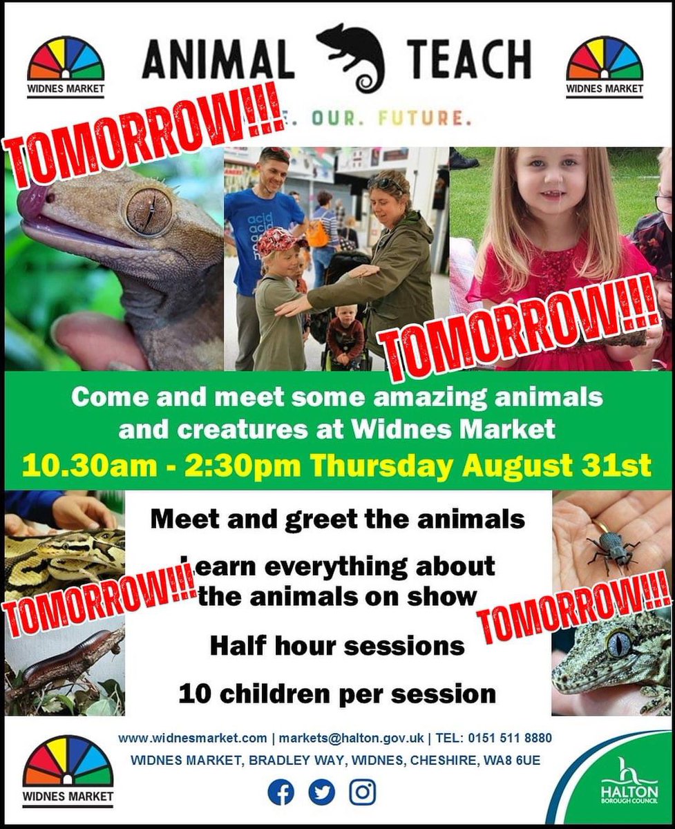 Fabulous free event on tomorrow (Thursday) <a href="/Widnes_Market/">Widnes Market</a> 
Always a really popular day! See you there! <a href="/AnimalTeach/">Animal Teach #sbswinner</a>