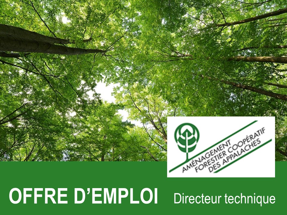 Directeur technique recherché! | Opportunité en Estrie! Aménagement forestier coopérative des Appalaches recrute actuellement au poste de directeur technique (#ingénieur #forestier) afin de combler son équipe. Pour postuler : fqcf.coop/carriereenfore…