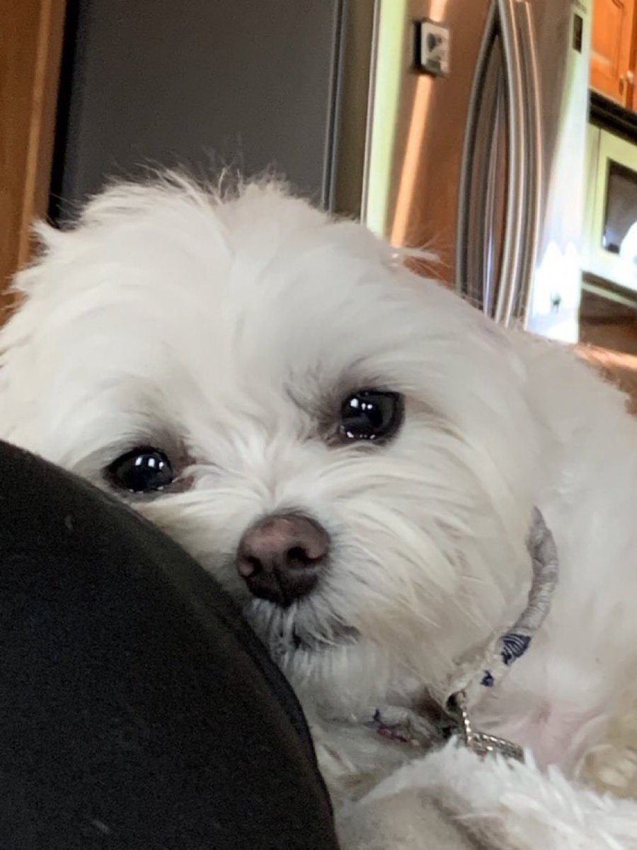 twaniimals's tweet photo. https://t.co/urzPZxWcZe