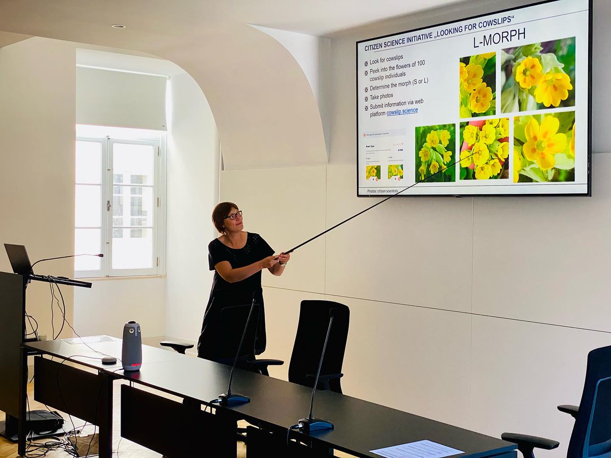 Conserve_Plants's tweet photo. The afternoon of the third day of the ConservePlants MC and WG meetings at the @DCV_UC of the @UnivdeCoimbra, was dedicated to the WG4 "Human dimensions in plant conservation" led by Justyna Wiland-Szymanska, Jasmin Joshi and @BaibaPruse.

#COSTEU #ca18201 #conserveplants https://t.co/6u47mjDAez
