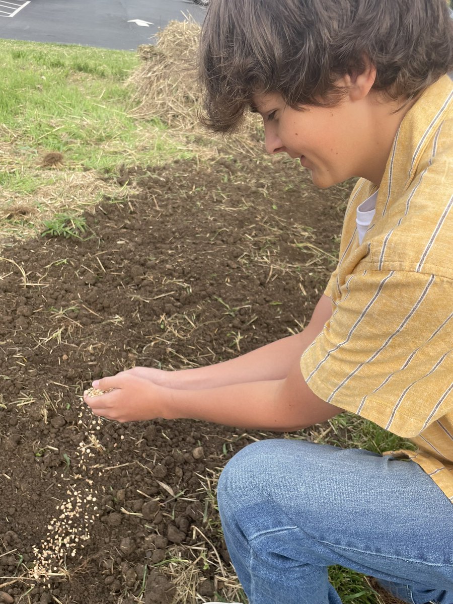 PflaumerGISA's tweet image. Environmental science students are in the land lab today to plant cover crops while they are learning about why farmers use cover crops and how it can increase biodiversity.