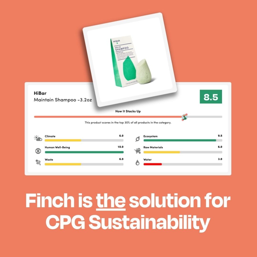 Finch tweet media
