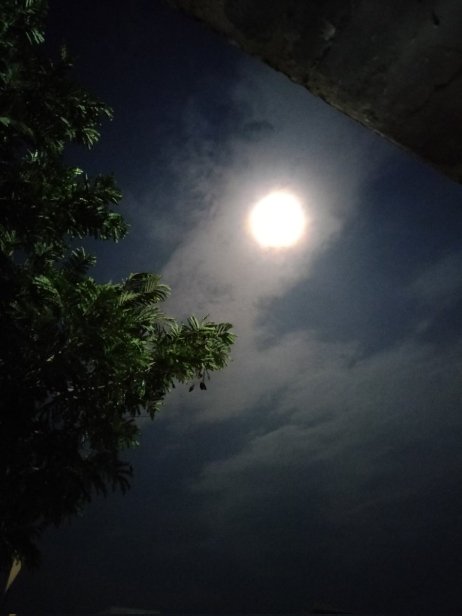 PUPPY2699's tweet photo. என்னோடே
எனக்காக
என்னைபோலே
தனியே
நீலநிலா
நீலவானில்
நிற்கிறாள்
💙
#Bluemoonday https://t.co/IUg86E99lj
