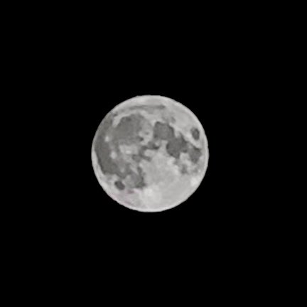 Charul Gupta tweet media