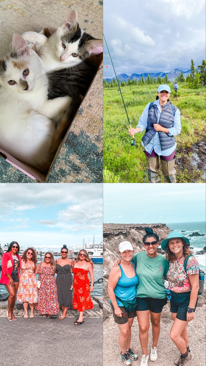 BookwormBuilder's tweet photo. Shared a few things that I did this summer with the kids this week ☀️ 

Can you guess which one was their favorite/got the biggest reaction?!? 
1- got 2 kitties 😻😻 
2- went fishing in Alaska 🎣
3- met my best friends baby in Boston👶🏻
4- visited my cousin in Ecuador 🇪🇨 https://t.co/DK6g5CT8PC