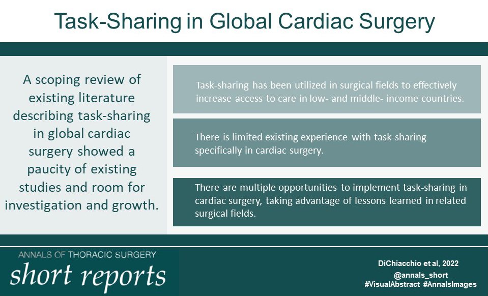 Task Sharing in Global Cardiac Surgery: A Scoping Review from @dichiacchioMD, @FiedlerAmy, and coauthors. Read more: doi.org/10.1016/j.atss…  #VisualAbstract #AnnalsImages #OpenAccess 

@AleCastro96 @DVervoort94