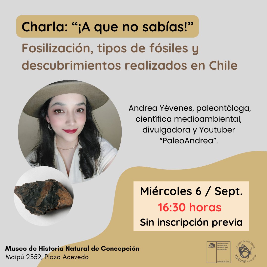 Museo de Historia Natural de Concepción tweet media