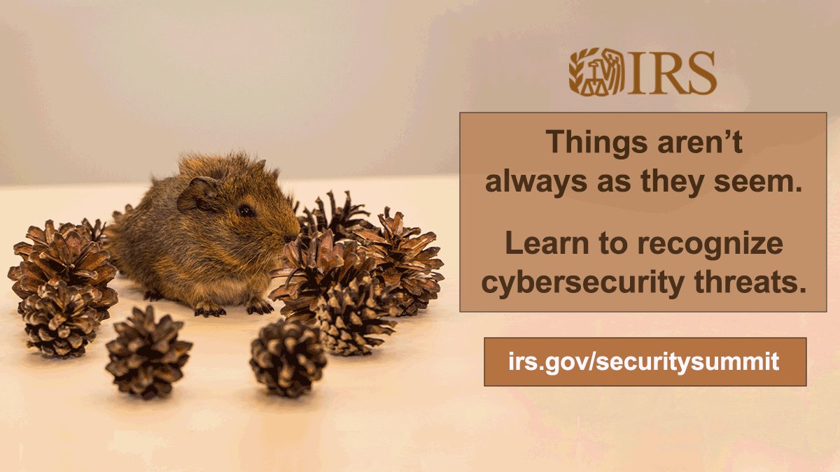 Scammers will do everything they can to appear trustworthy and legitimate. For your #TaxSecurity, be sure the whole family stays alert with these tips from the #IRS and the Security Summit: irs.gov/securitysummit