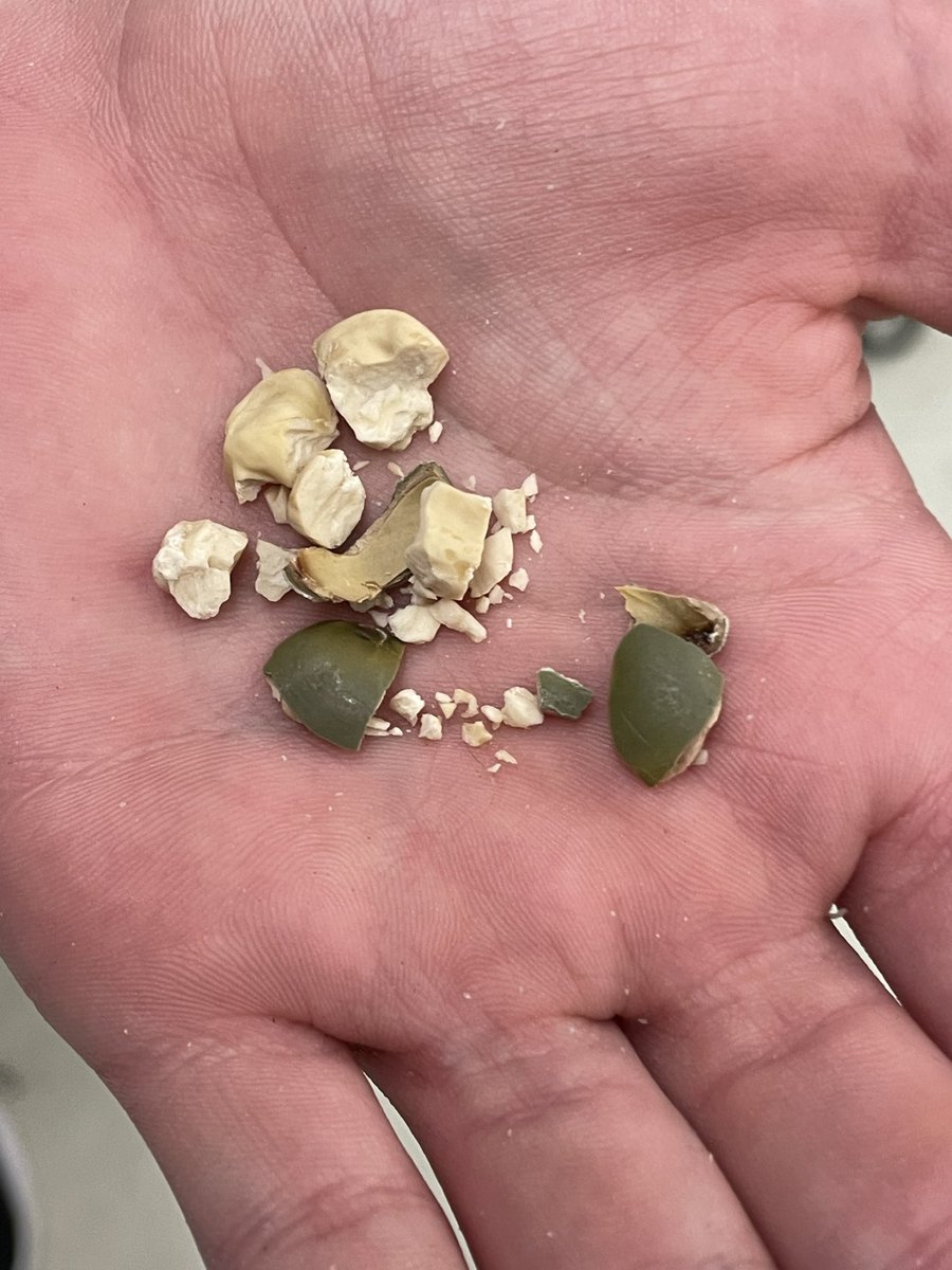 Andrew Kearns tweet media