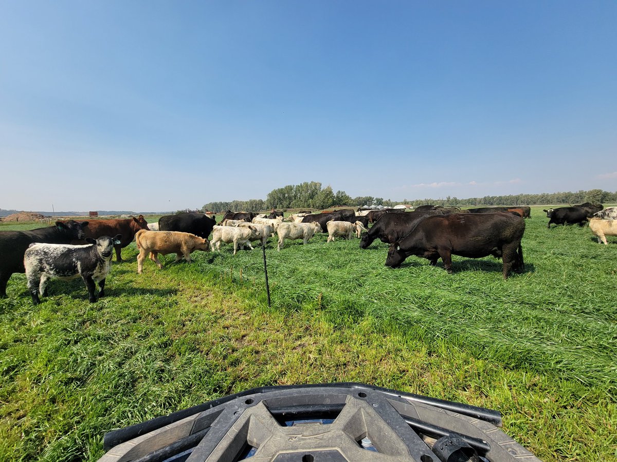 Darin Malmberg tweet media