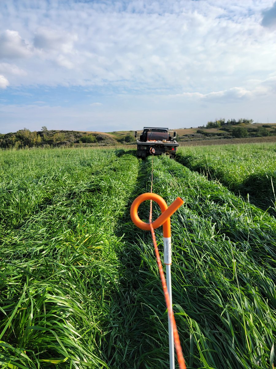 Darin Malmberg tweet media