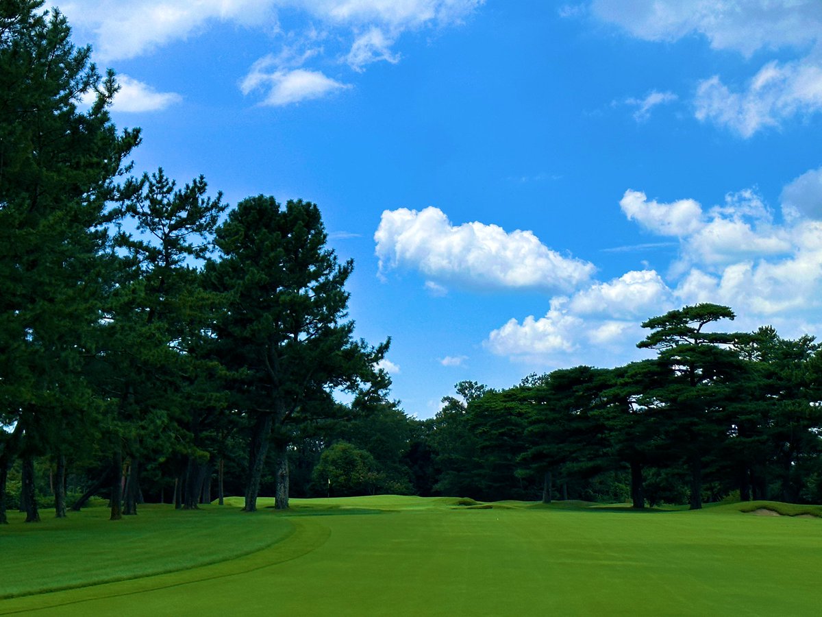Rick Golfs tweet media